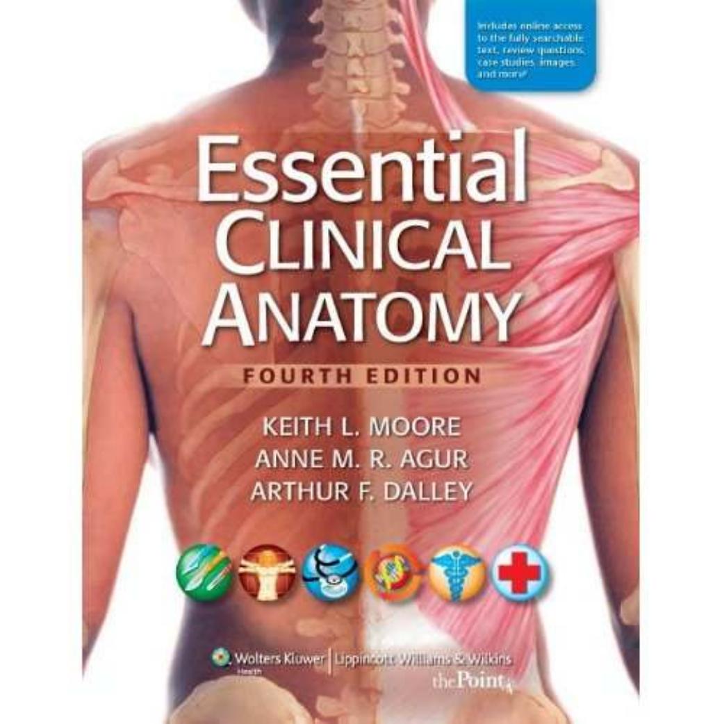 Essential Clinical Anatomy, 4th Edition by Keith L. Moore Anne M.R. Agur Arthur F. Dalley