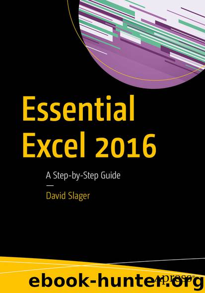 Essential Excel 2016 by David Slager