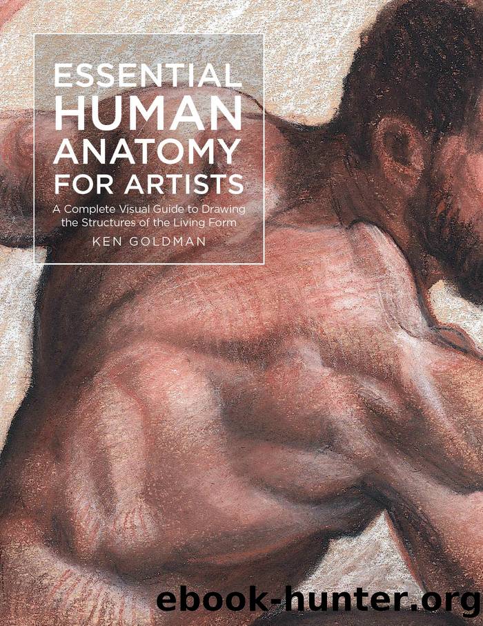 Essential Human Anatomy for Artists by Goldman Ken;