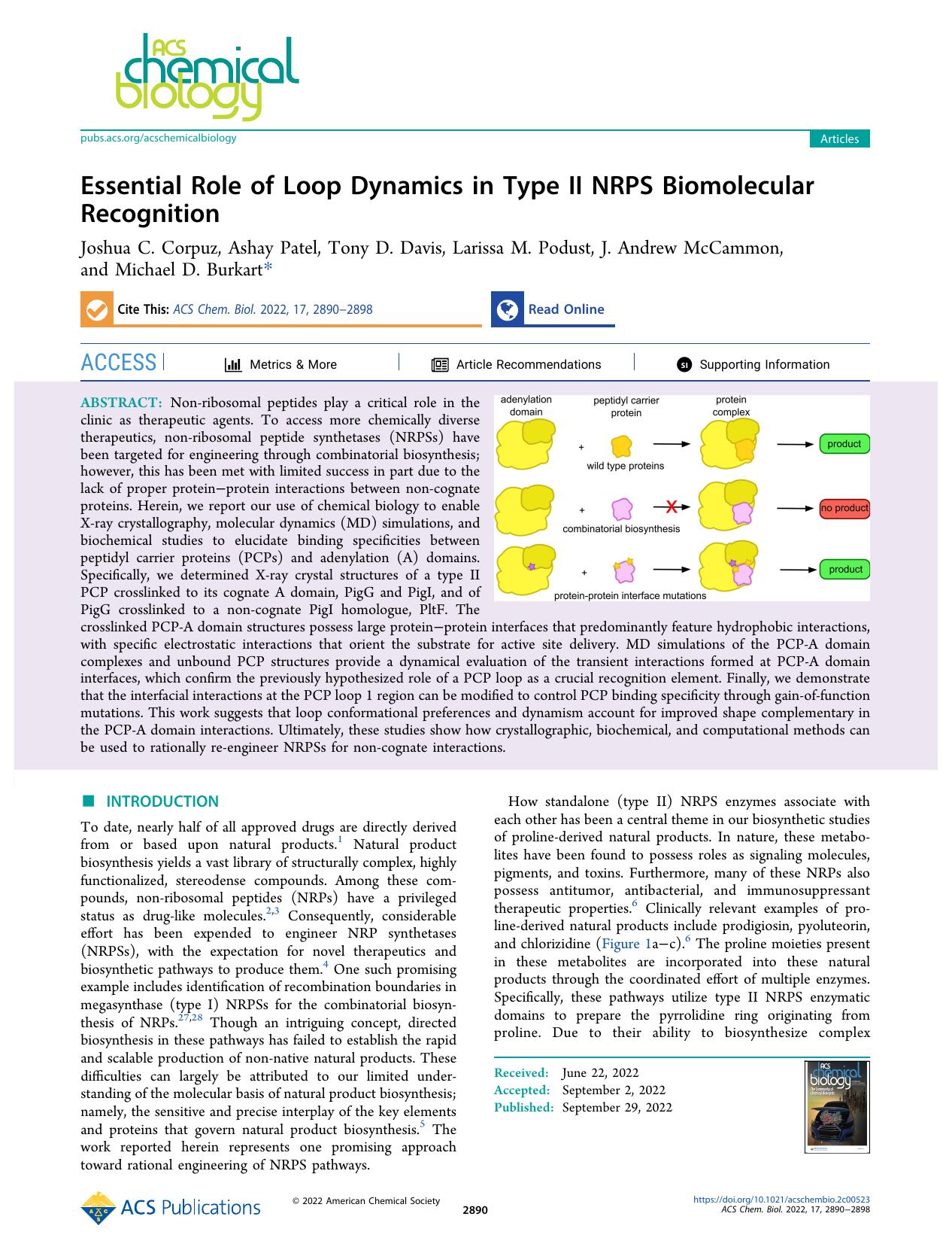 Essential Role of Loop Dynamics in Type II NRPS Biomolecular Recognition by unknow
