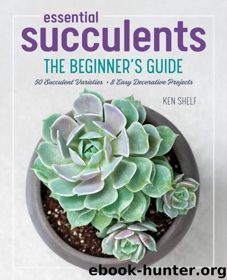 Essential Succulents: The Beginner's Guide by Shelf Ken