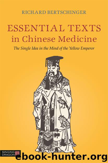 Essential Texts in Chinese Medicine by Bertschinger Richard