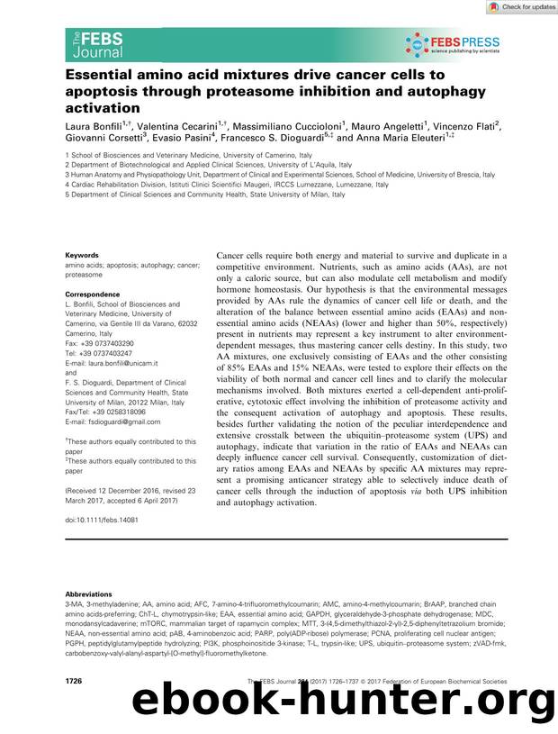 Essential amino acid mixtures drive cancer cells to apoptosis through proteasome inhibition and autophagy activation by Unknown
