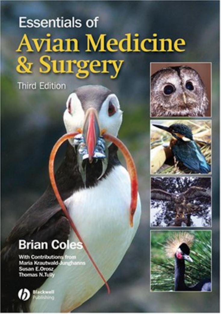 Essentials of Avian Medicine and Surgery by Brian Coles