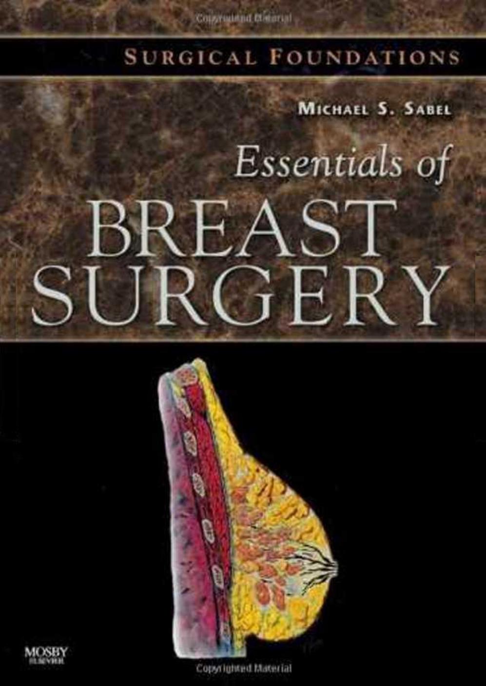 Essentials of Breast Surgery: A Volume in the Surgical Foundations Series by Michael S. Sabel MD
