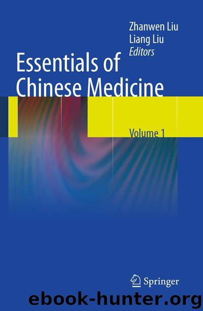 Essentials of Chinese Medicine by Zhanwen Liu