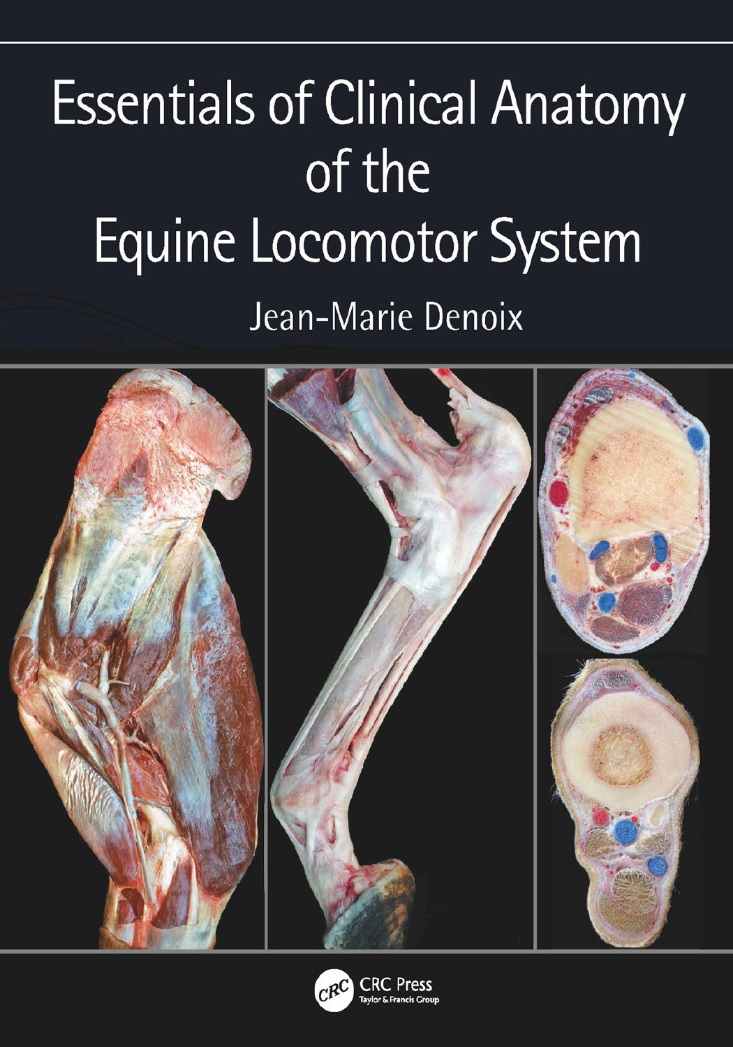 Essentials of Clinical Anatomy of the Equine Locomotor System by Unknow