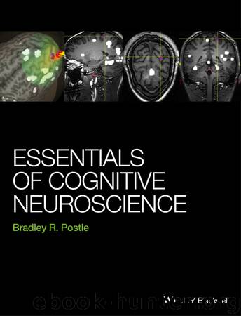 Essentials of Cognitive Neuroscience by Postle Bradley R