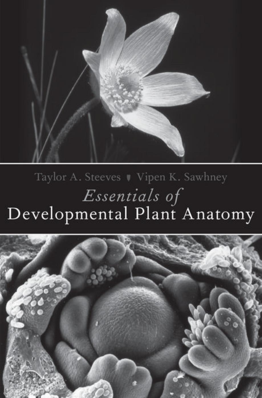 Essentials of Developmental Plant Anatomy by Taylor A. Steeves Vipen K. Sawhney