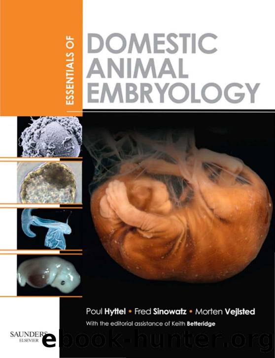 Essentials of Domestic Animal Embryology by Poul Hyttel