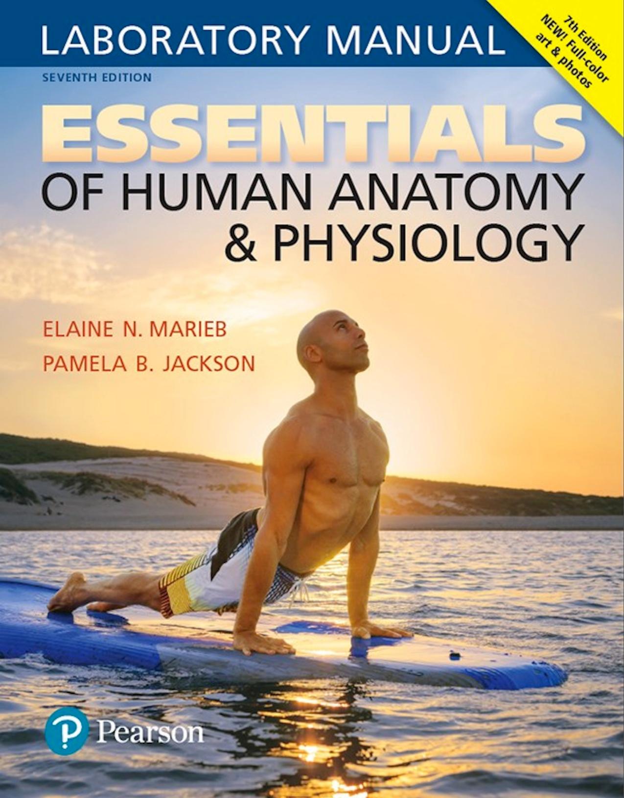 Essentials of Human Anatomy & Physiology Laboratory Manual 7th Edition by Elaine Marieb
