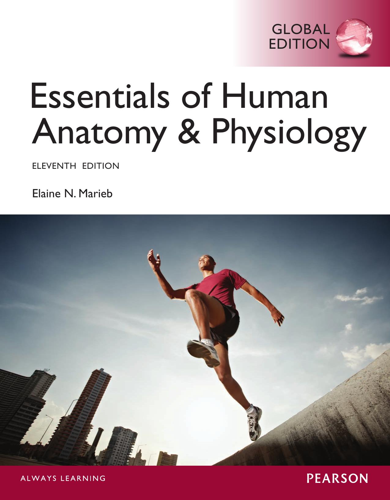 Essentials of Human Anatomy & Physiology by Elaine Nicpon Marieb
