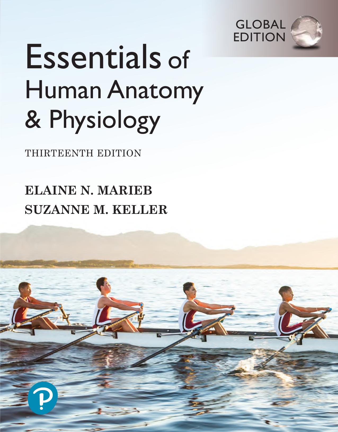 Essentials of Human Anatomy and Physiology [RENTAL EDITON] by Suzanne Keller