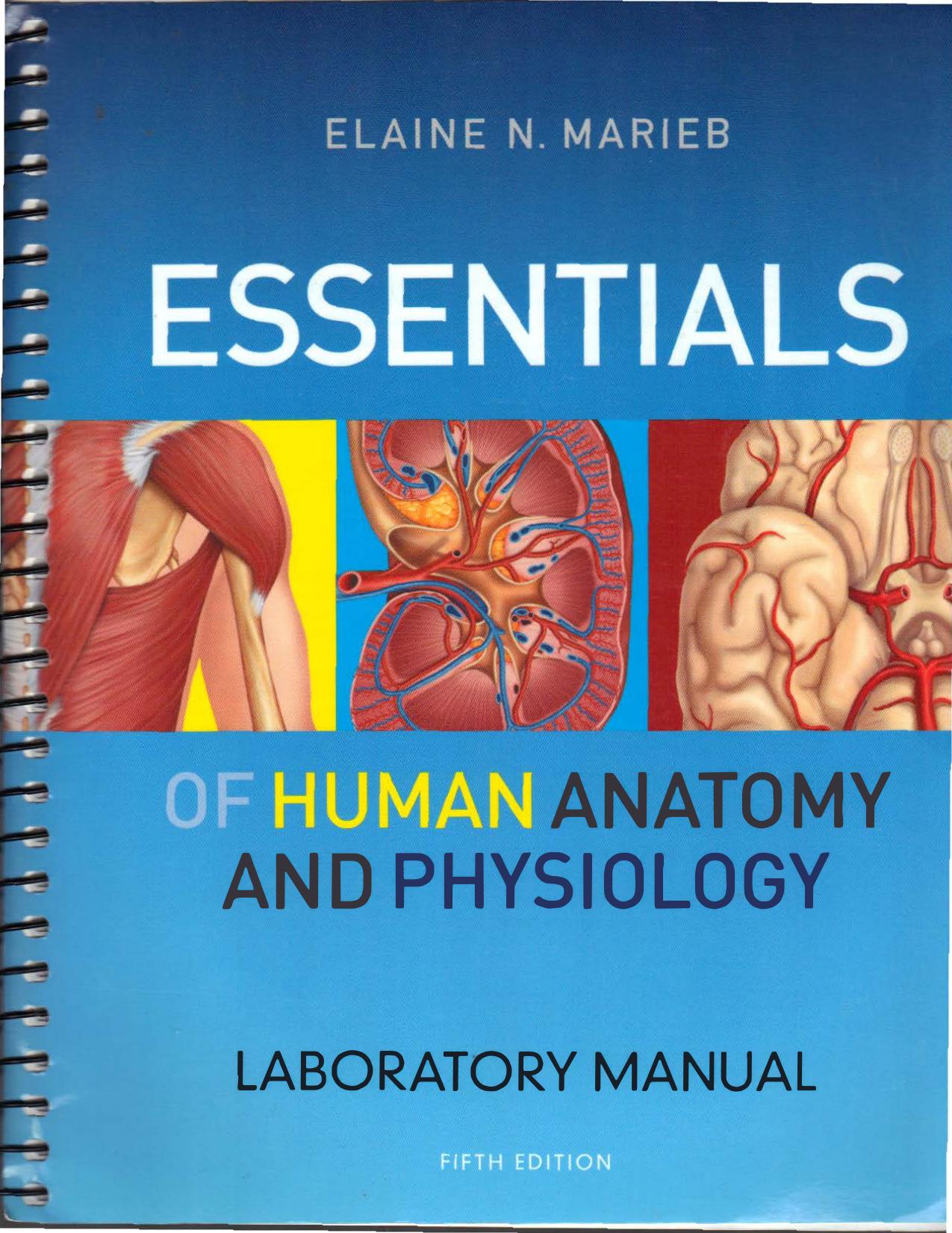 Essentials of Human Anatomy and Physiology Laboratory Manual 5th Edition by unknow