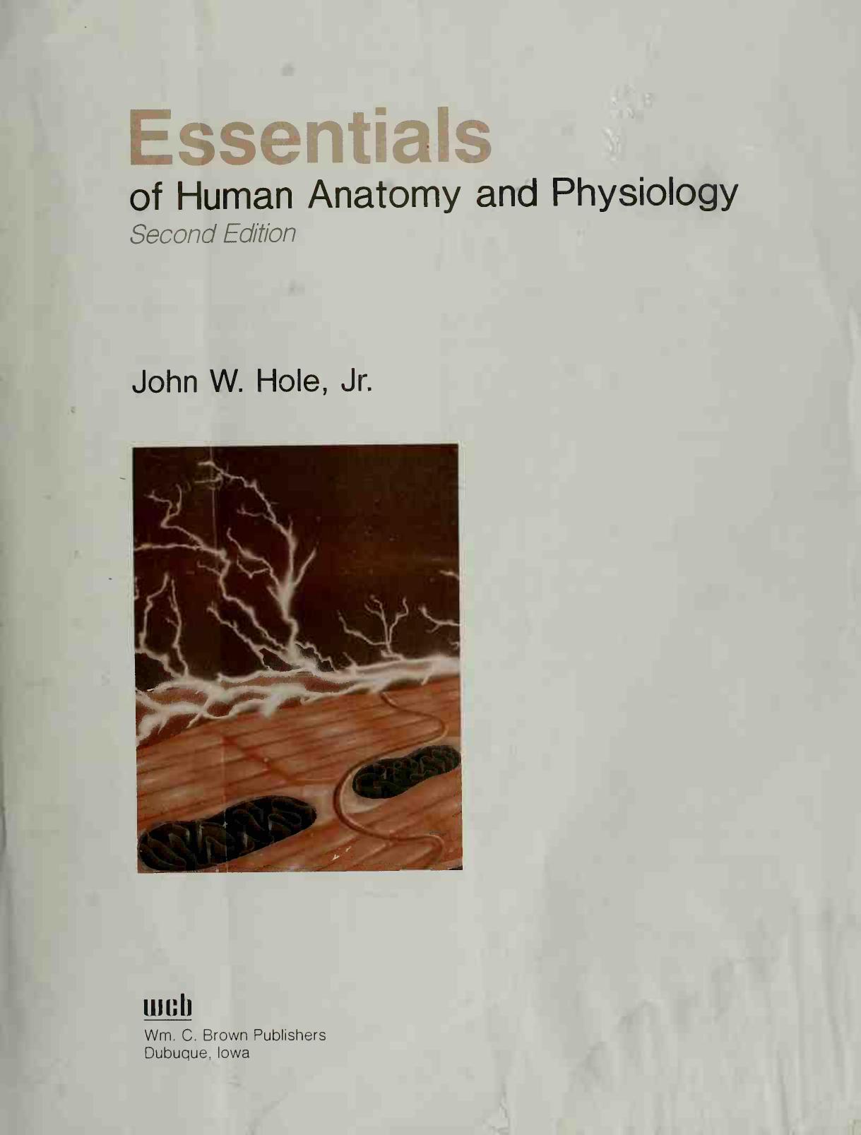 Essentials of Human Anatomy and Physiology by Unknow