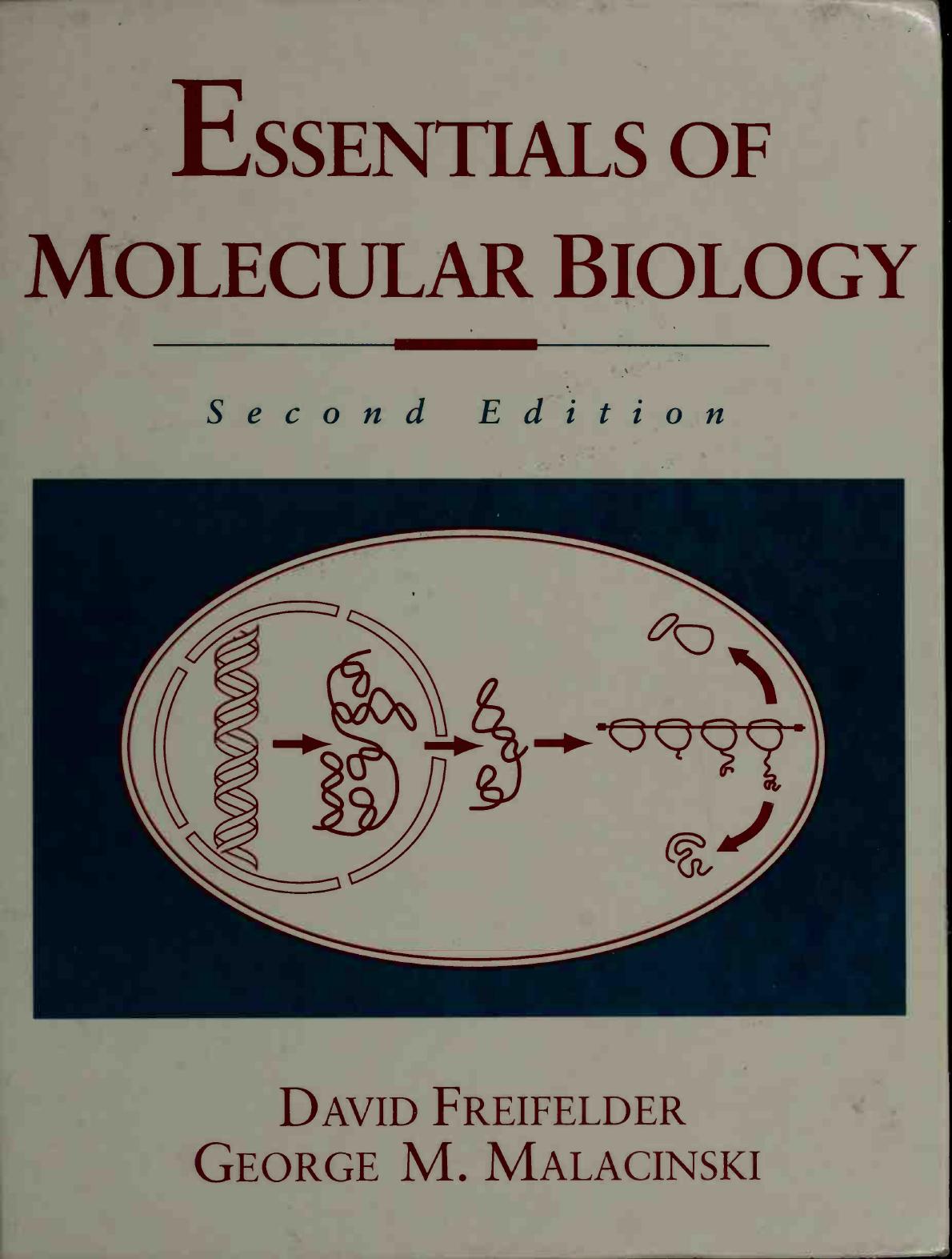 Essentials of Molecular Biology by David Freifelder George M. Malacinski