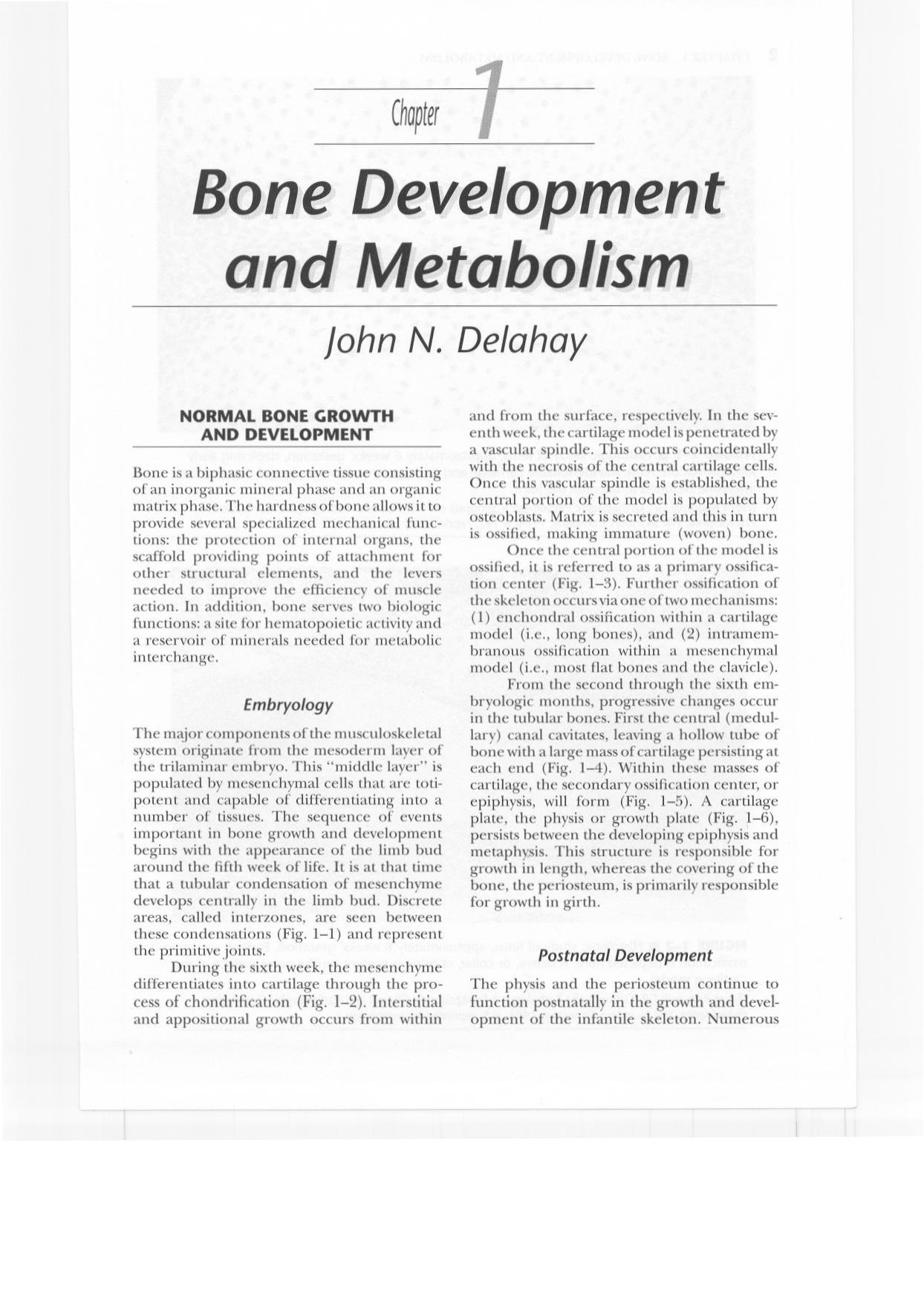 Essentials of Orthopaedic Surgery by Wiesel & Delahay