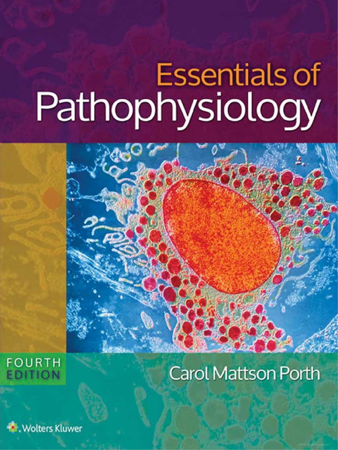 Essentials of Pathophysiology: Concepts of Altered Health States / Edition 4