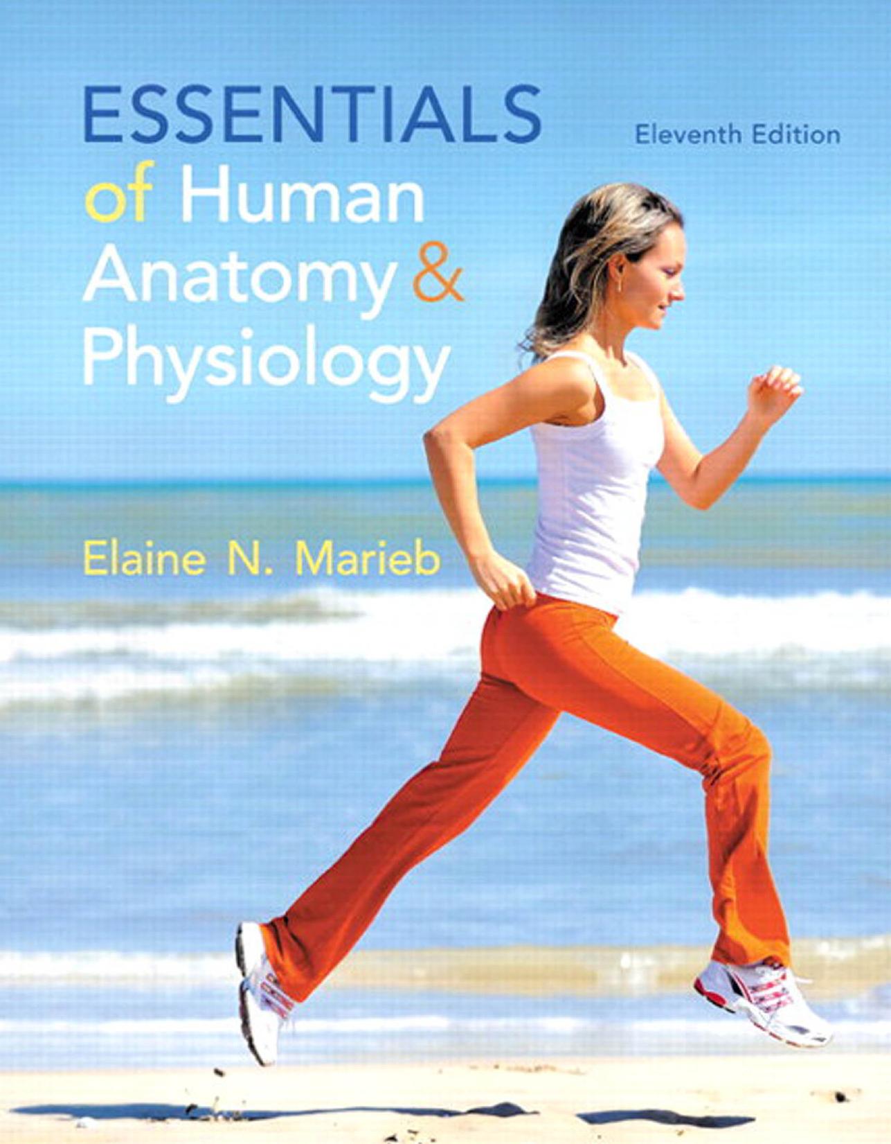 Essentials of human anatomy & physiology by Elaine Nicpon Marieb