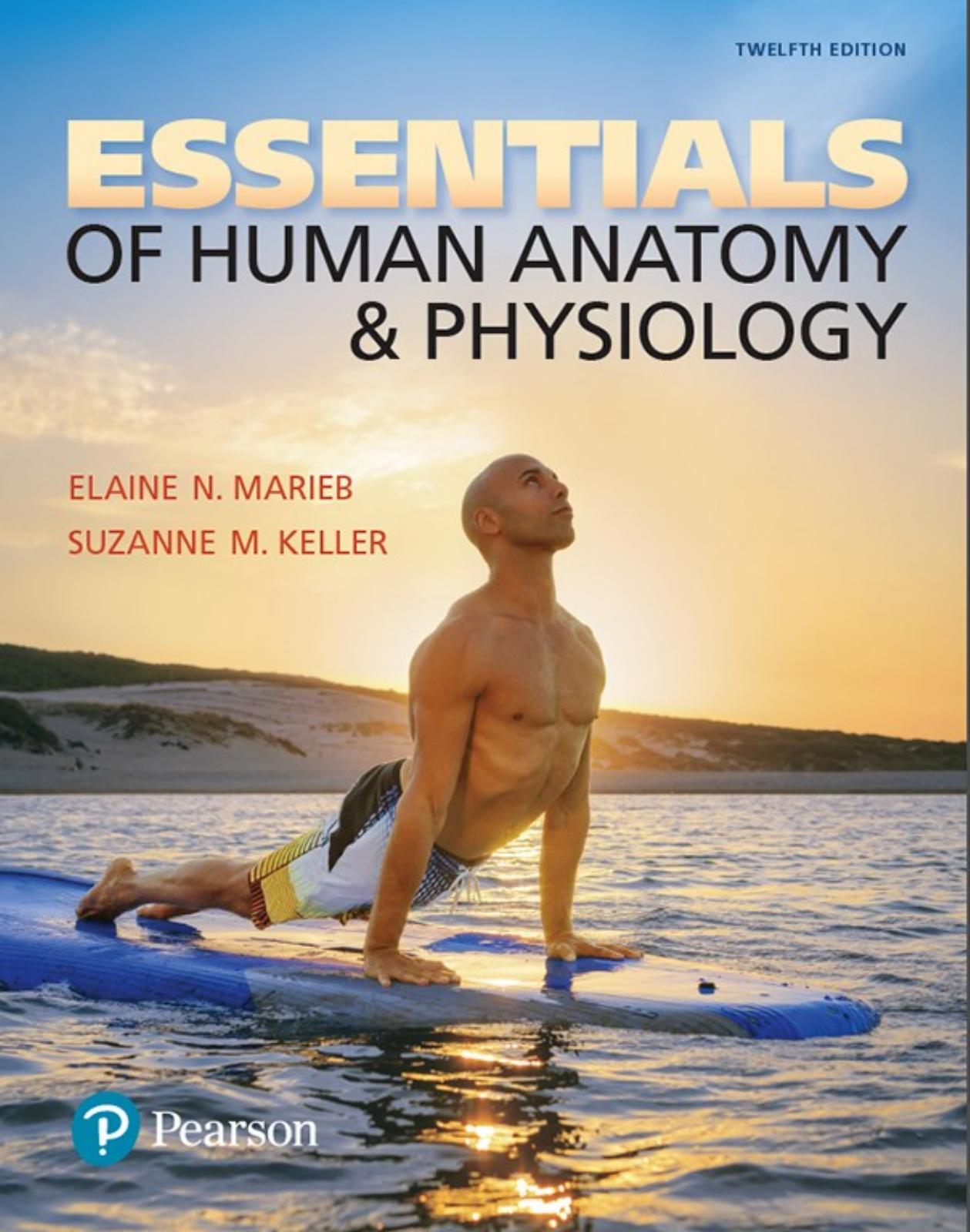 Essentials of human anatomy & physiology by Keller Suzanne M.;Marieb Elaine Nicpon