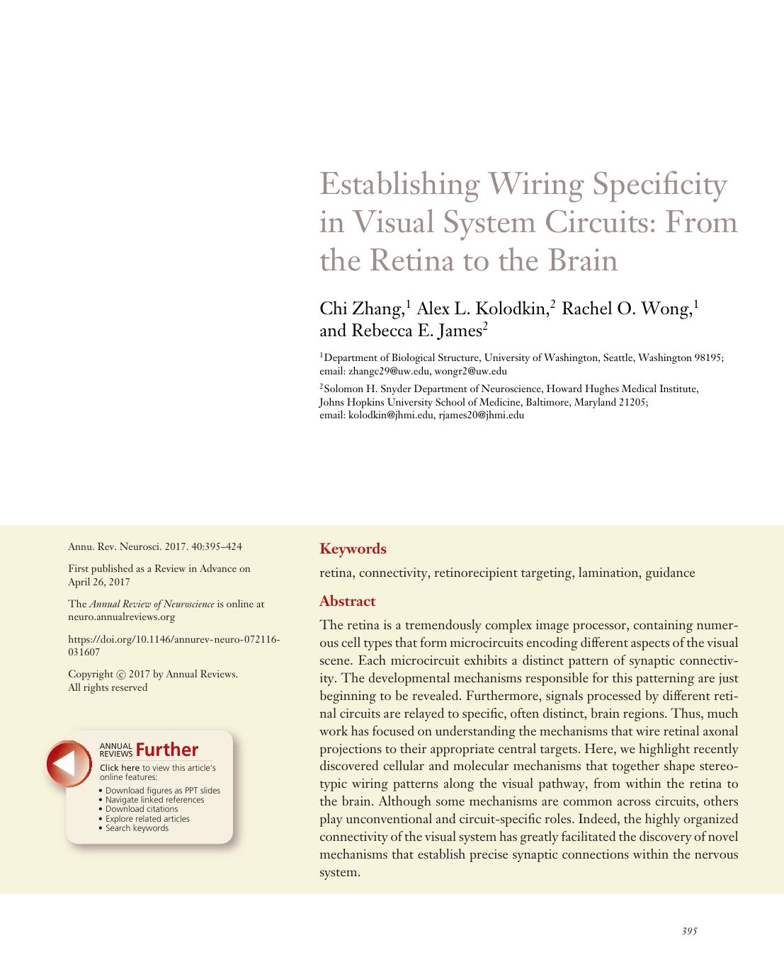 Establishing Wiring Specificity in Visual System Circuits: From the Retina to the Brain by Chi Zhang Alex L. Kolodkin Rachel O. Wong Rebecca E. James