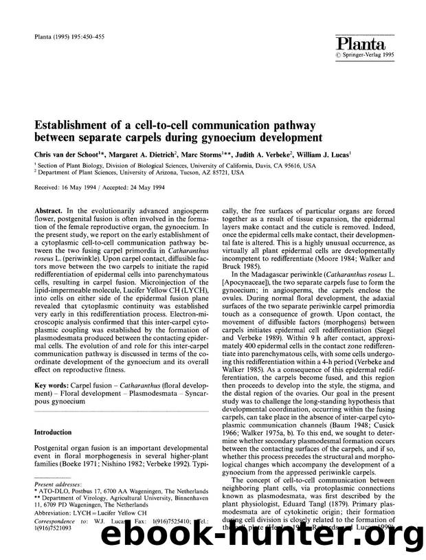 Establishment of a cell-to-cell communication pathway between separate carpels during gynoecium development by Unknown