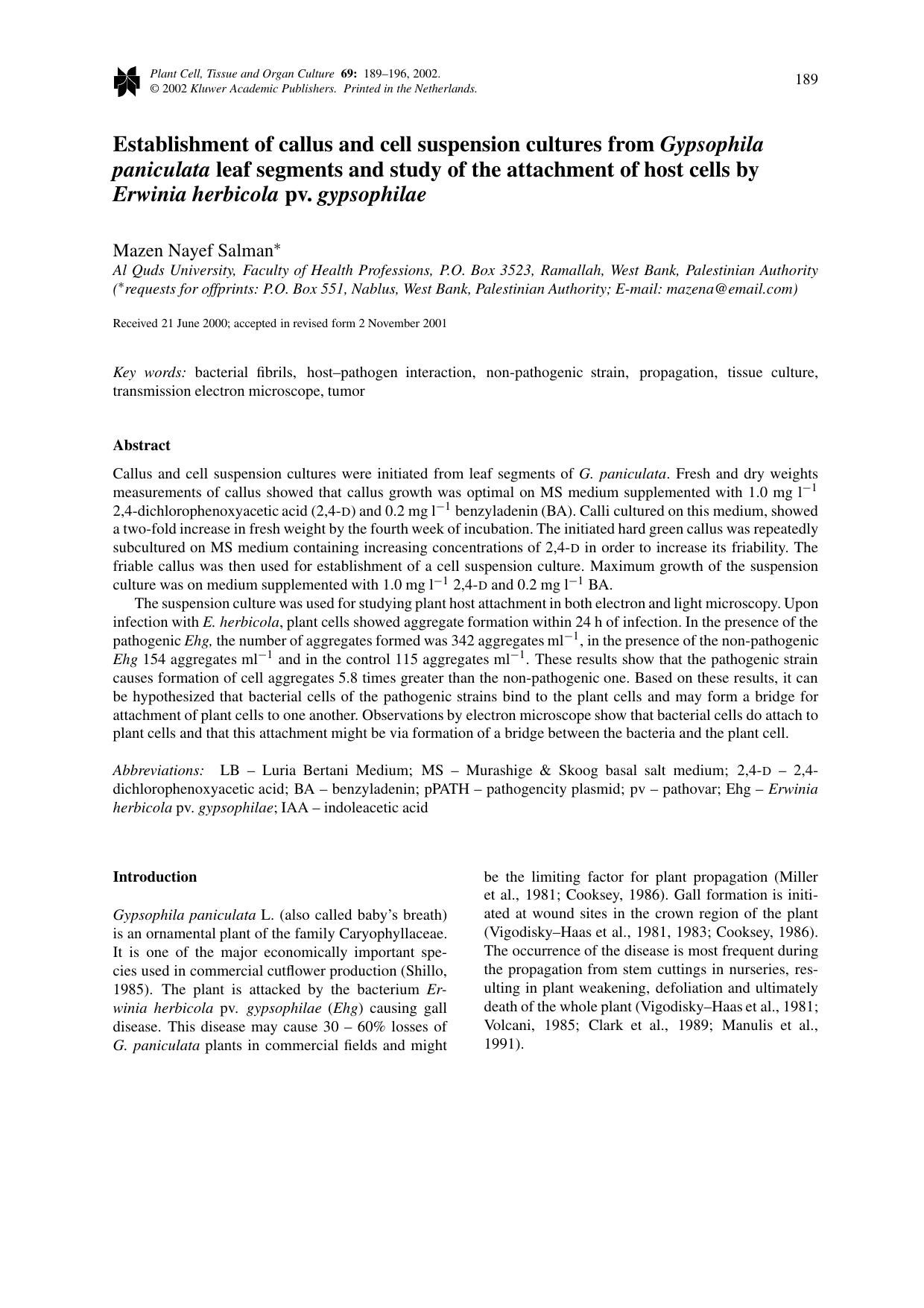 Establishment of callus and cell suspension cultures from <Emphasis Type="Italic">Gypsophila paniculata<Emphasis> leaf segments and study of the attachment of host cells by <Emphas by Unknown
