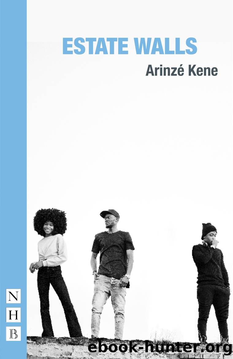 Estate Walls (NHB Modern Plays) by Arinzé Kene