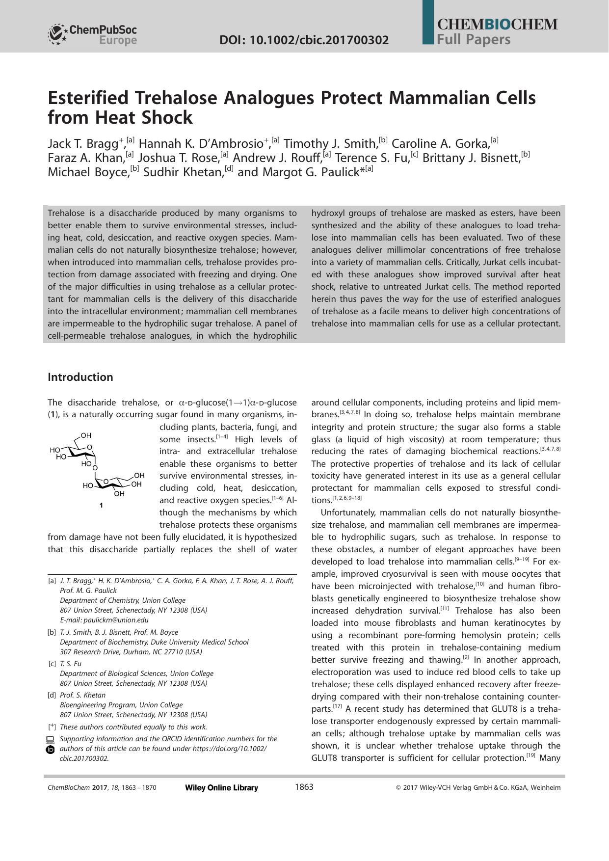 Esterified Trehalose Analogues Protect Mammalian Cells from Heat Shock by Unknown