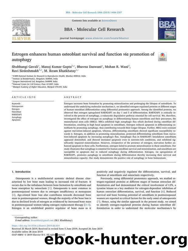 Estrogen enhances human osteoblast survival and function via promotion of autophagy by unknow