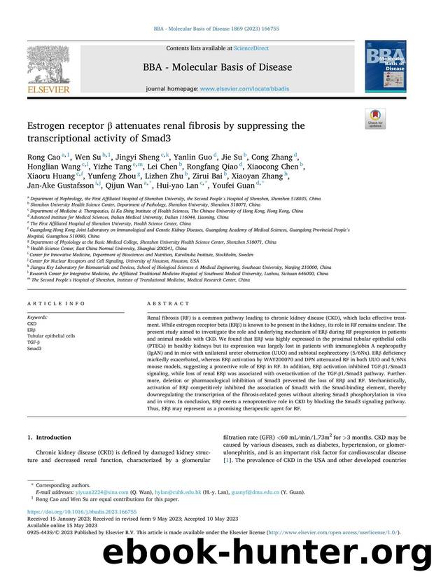 Estrogen receptor Î² attenuates renal fibrosis by suppressing the transcriptional activity of Smad3 by unknow