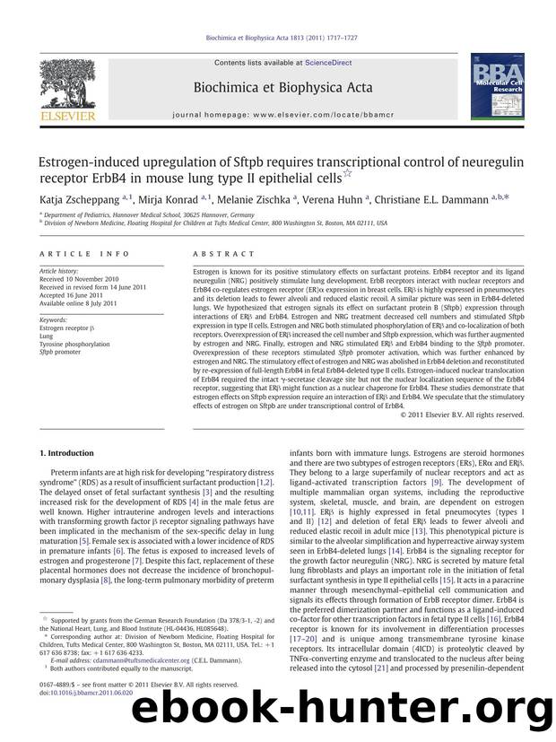 Estrogen-induced upregulation of Sftpb requires transcriptional control of neuregulin receptor ErbB4 in mouse lung type II epithelial cells by Katja Zscheppang & Mirja Konrad & Melanie Zischka & Verena Huhn & Christiane E.L. Dammann