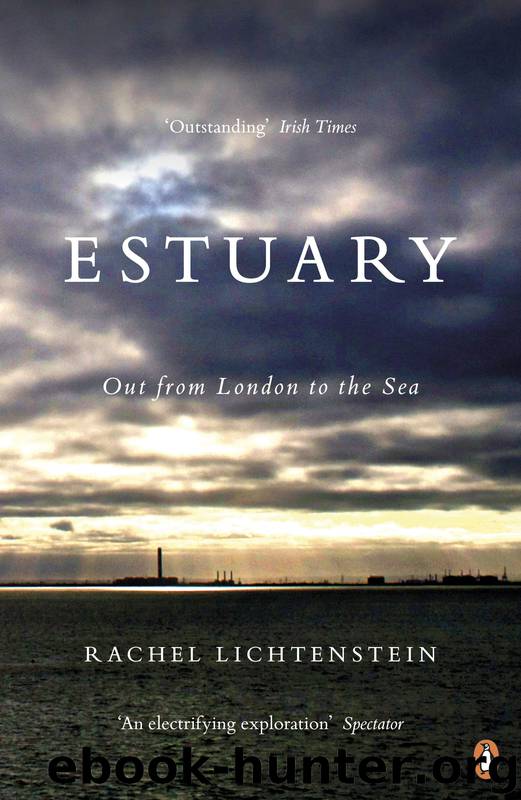 Estuary by Rachel Lichtenstein