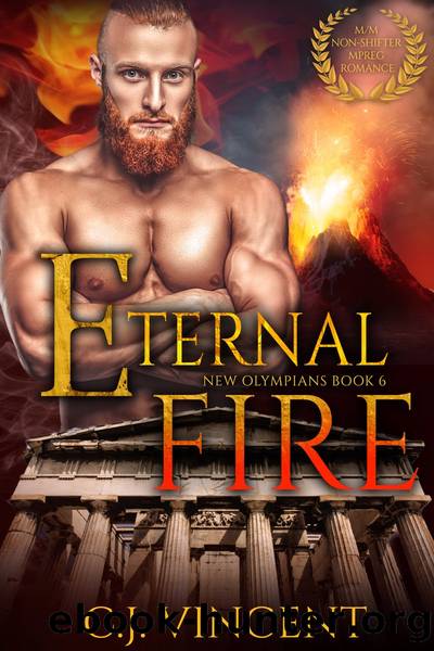 Eternal Fire by C. J. Vincent