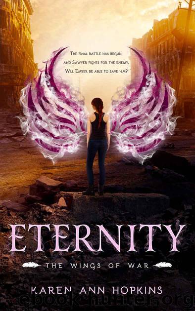Eternity (Wings of War Book 4) by Karen Ann Hopkins