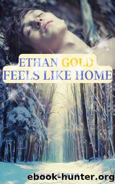 Ethan Gold Feels Like Home by Suki Fleet