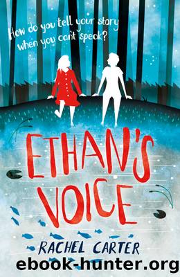 Ethan's Voice by Rachel Carter