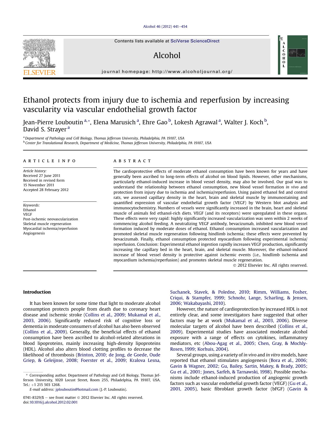 Ethanol protects from injury due to ischemia and reperfusion by increasing vascularity via vascular endothelial growth factor by unknow