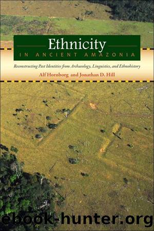 Ethnicity in Ancient Amazonia by Alf Hornborg & Jonathan D. Hill
