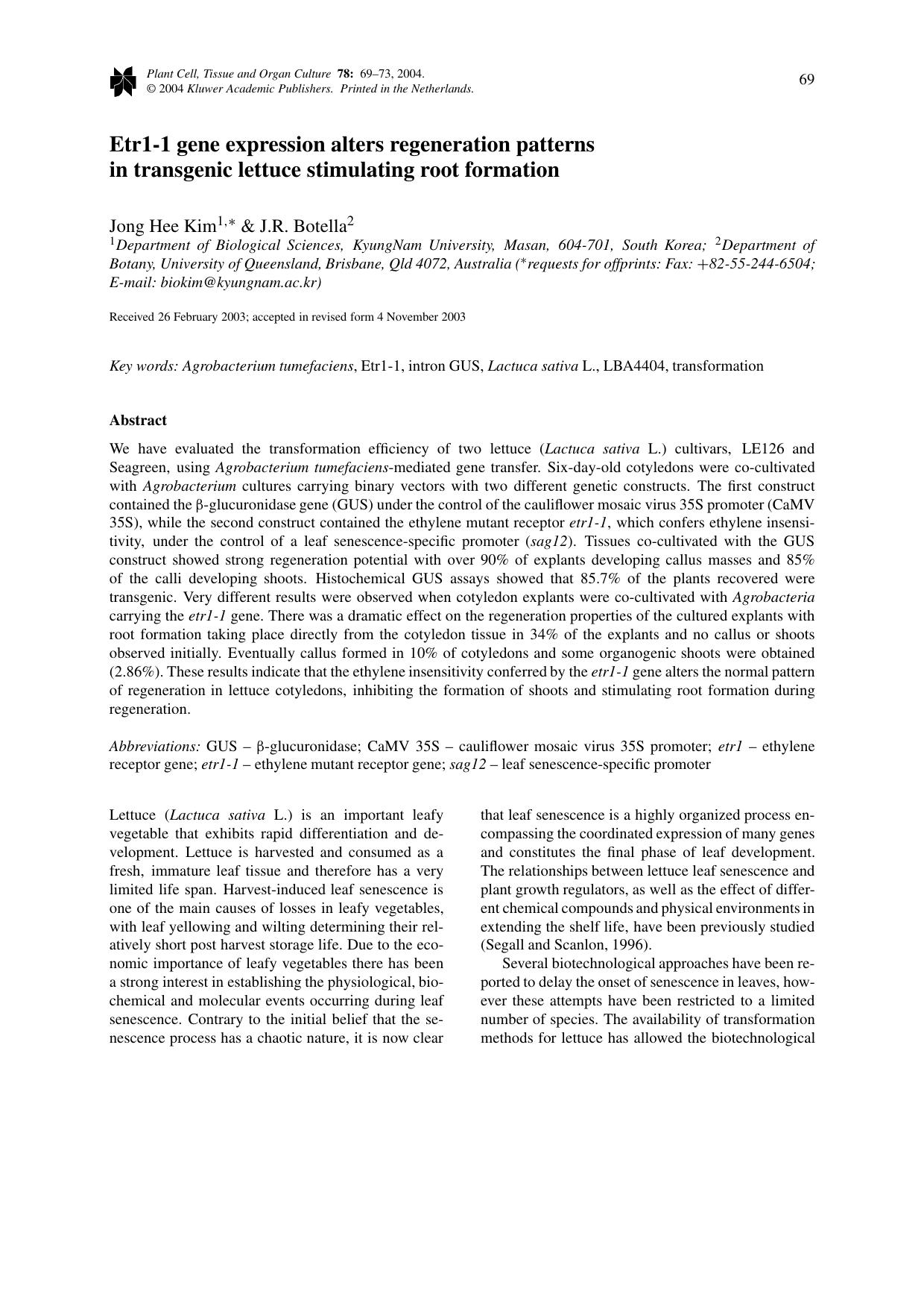 Etr1-1 Gene Expression Alters Regeneration Patterns in Transgenic Lettuce Stimulating Root Formation by Unknown