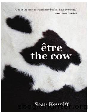 Etre the Cow by Dr. Sean Kenniff