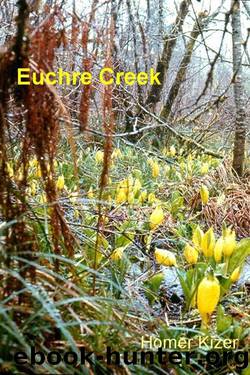 Euchre Creek by Homer Kizer