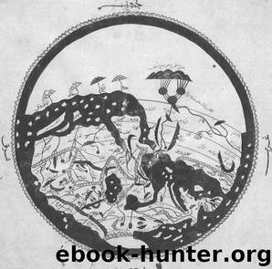Europe and the Islamic World: A History by John Tolan & Henry Laurens & Gilles Veinstein & John L. Esposito