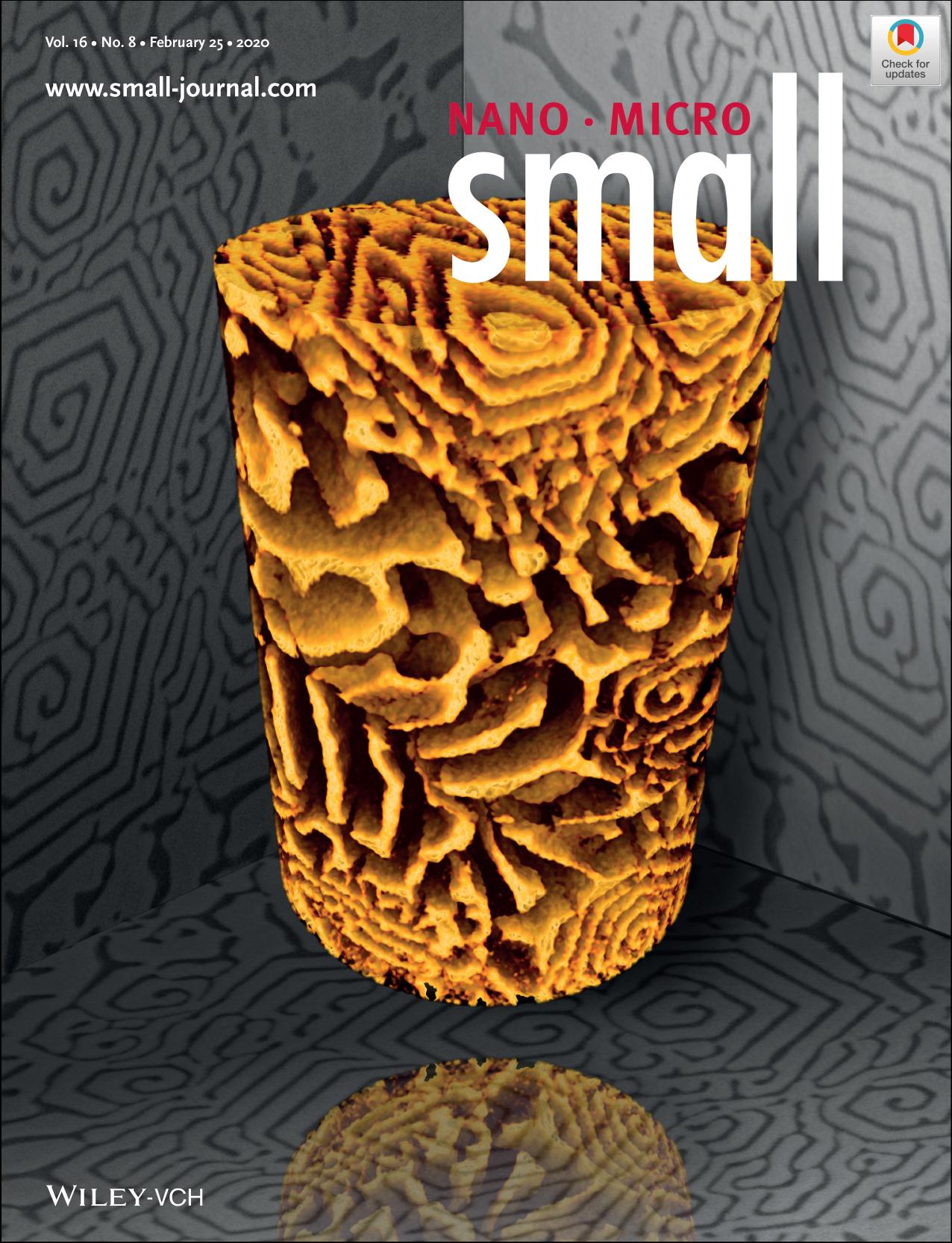 Eutectic Crystallization: MultiâStep Crystallization of SelfâOrganized Spiral Eutectics (Small 82020) by Unknown