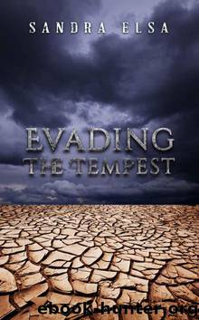 Evading The Tempest (Tempest tales Book 1) by Elsa Sandra