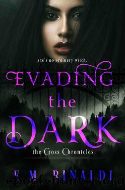 Evading the Dark by E M Rinaldi