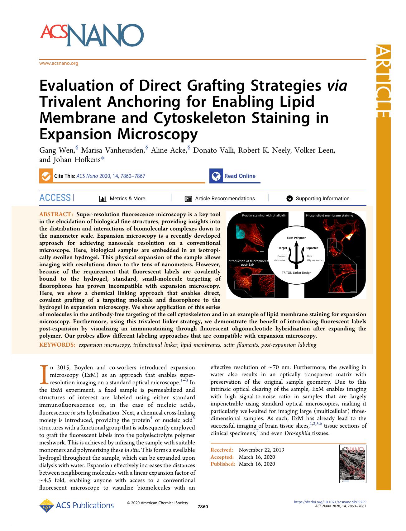 Evaluation of Direct Grafting Strategies via Trivalent Anchoring for Enabling Lipid Membrane and Cytoskeleton Staining in Expansion Microscopy by unknow