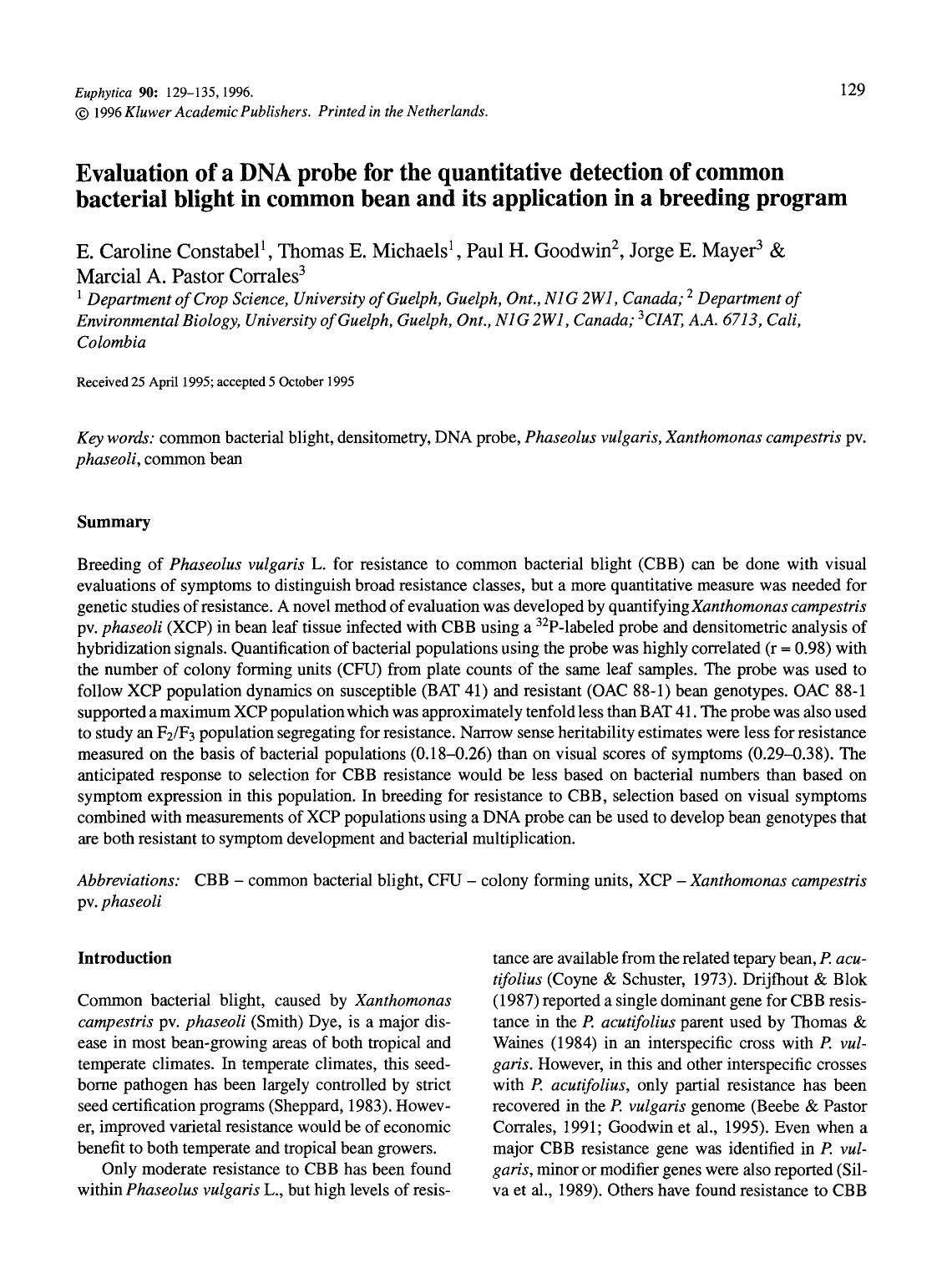 Evaluation of a DNA probe for the quantitative detection of common bacterial blight in common bean and its application in a breeding program by Unknown