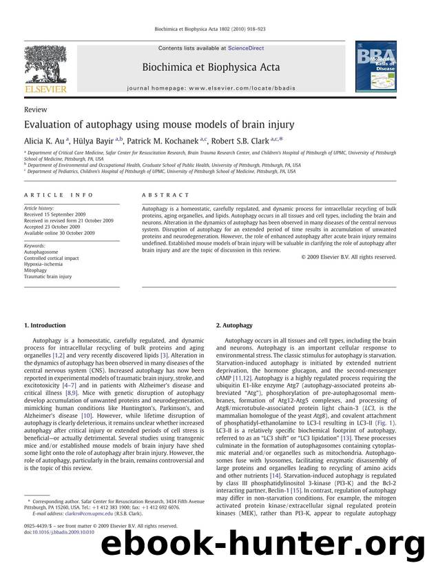 Evaluation of autophagy using mouse models of brain injury by Alicia K. Au