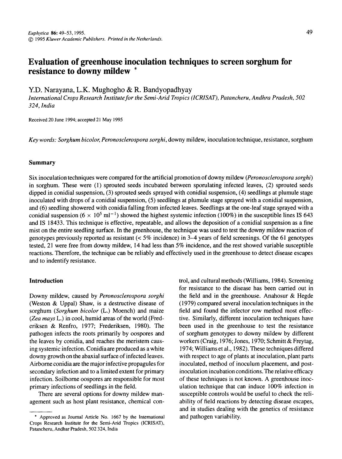 Evaluation of greenhouse inoculation techniques to screen sorghum for resistance to downy mildew by Unknown